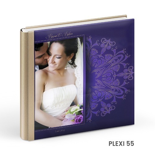 Plexi